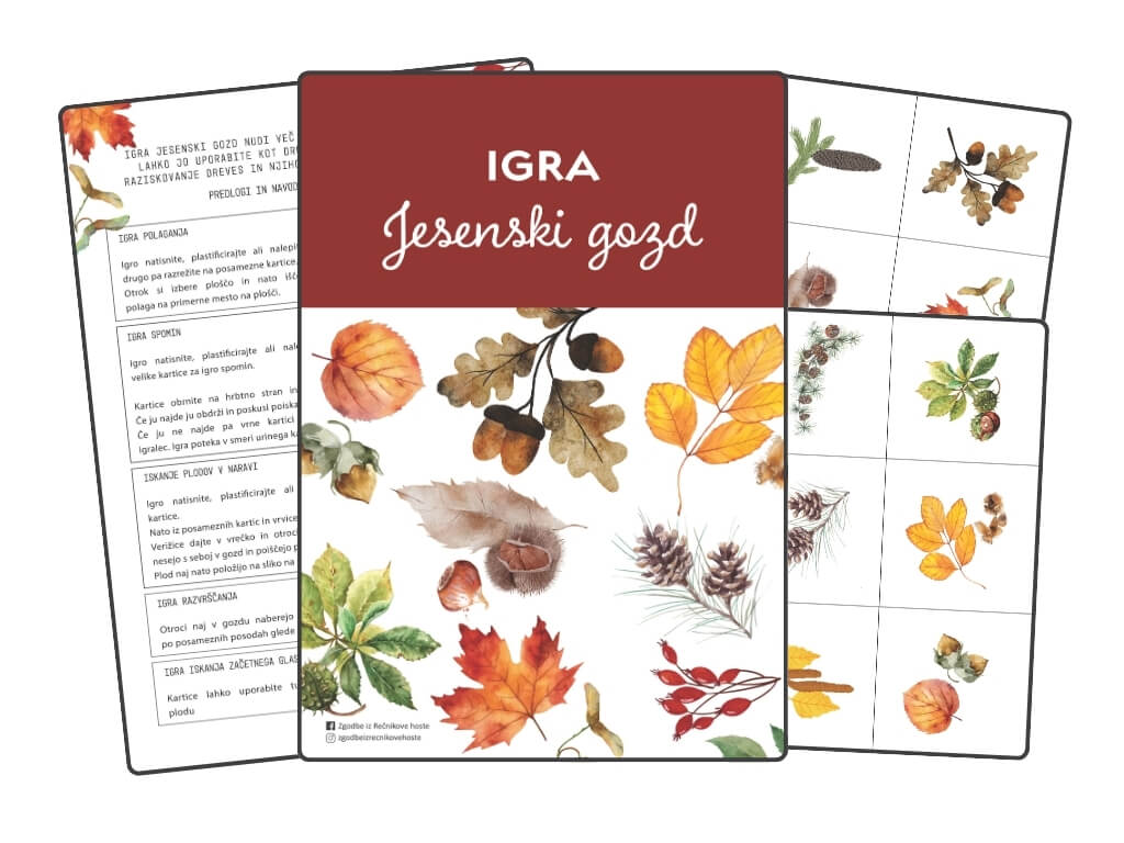Igra jesenski gozd (1)
