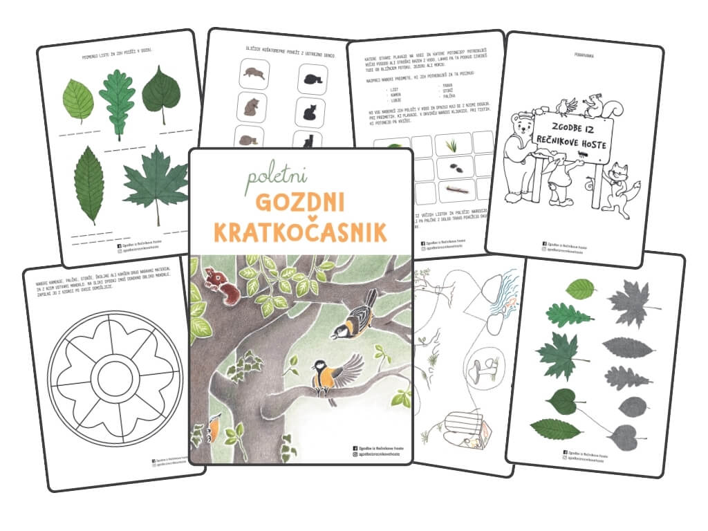 Poletni kratkočasnik canva