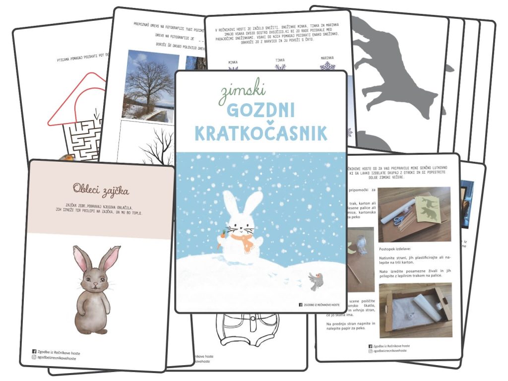 Zimski gozdni kratkočasnik